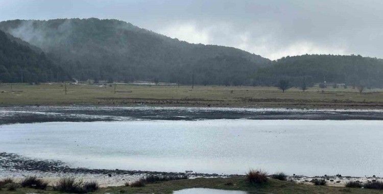 Kuraklıkla mücadele eden Yayla Gölü yağışlarla can buldu
