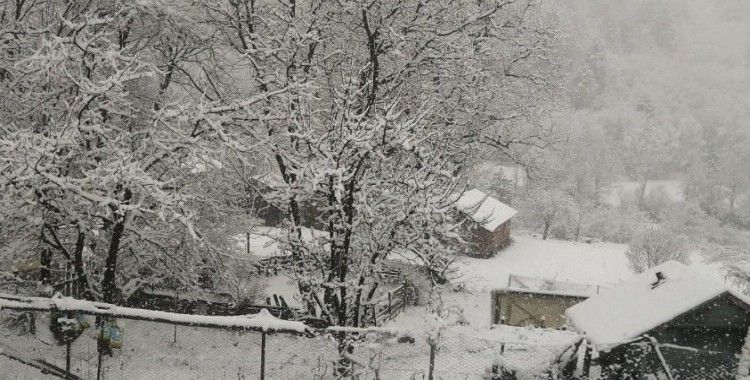 Kastamonu’da kar yağışı etkili oldu
