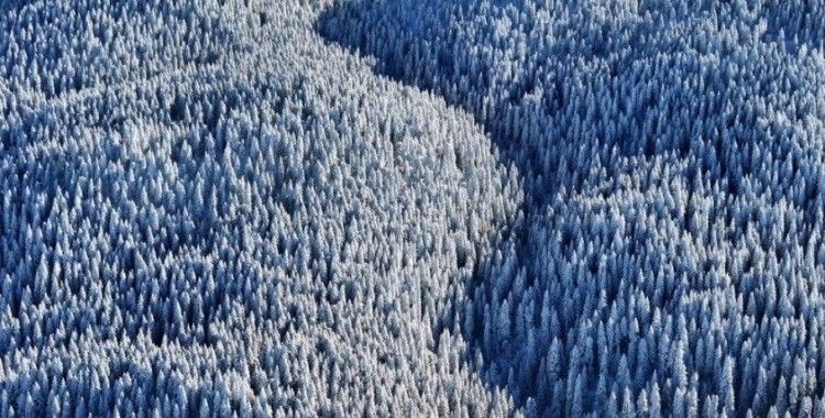 Bolu'nun dağlarında eşsiz manzara