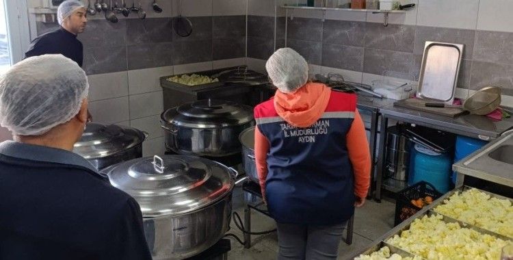 Söke’de 1 yılda 2 bin gıda işletmeleri denetlendi
