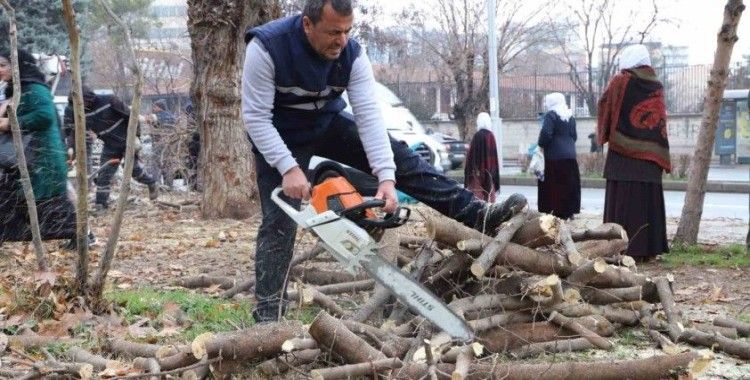 Diyarbakır’da 24 bin 833 ağaç budandı
