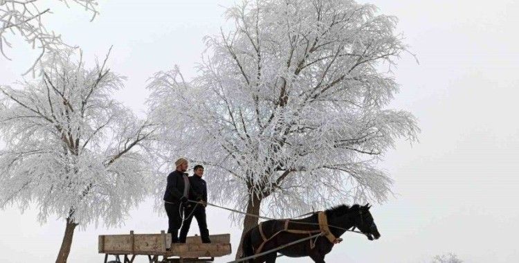 Erzincan’ın Otlukbeli ilçesi buz tuttu!
