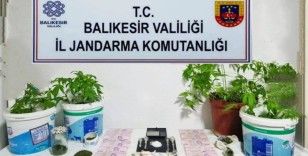 Jandarma'dan 6 ilçede uyuşturucu operasyonu