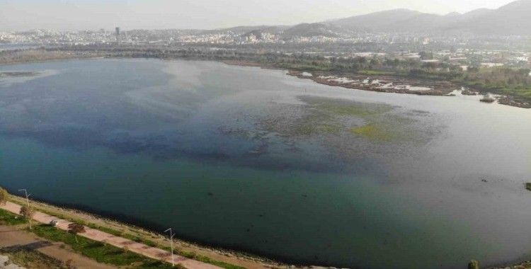 İzmir İnciraltı sahilini deniz marulu sardı
