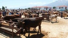 Erzincan’daki hayvan pazarında şap karantinası
