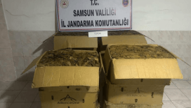 Tütün hırsızı jandarma tarafından yakalandı