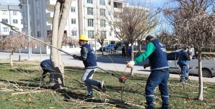 Park ve sokaklarda peyzaj çalışmaları devam ediyor
