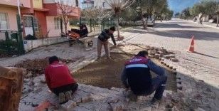 Karacasu’da bozuk yollar bakıma alındı
