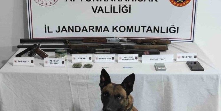 Jandarmadan uyuşturucu operasyonu
