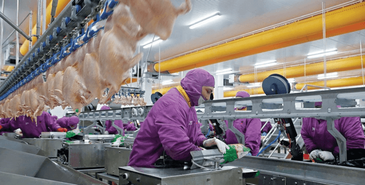 AB'ye Türk tavuk döneri yedireceğiz