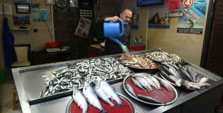 Balık tezgahları artık onlara emanet
