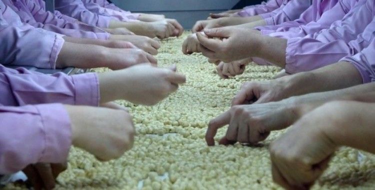 Düzce’de AB ülkelerine 8 bin 374 ton gönderildi
