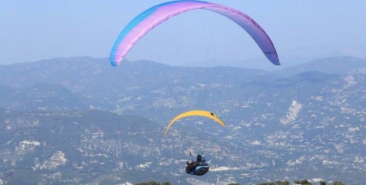 Çameli ismini dünyaya duyuruyor
