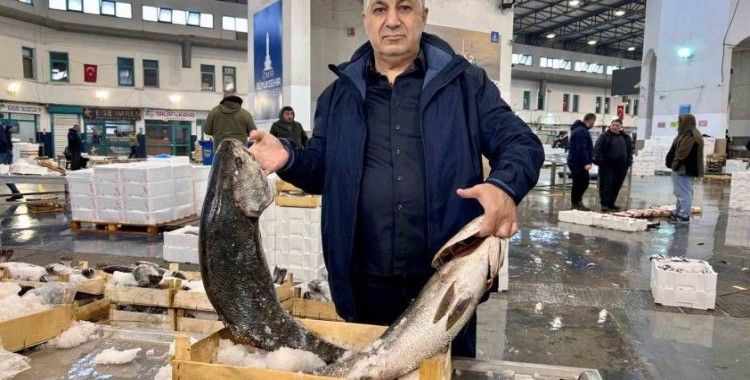 Egeli balıkçılar için sezon bereketli geçiyor
