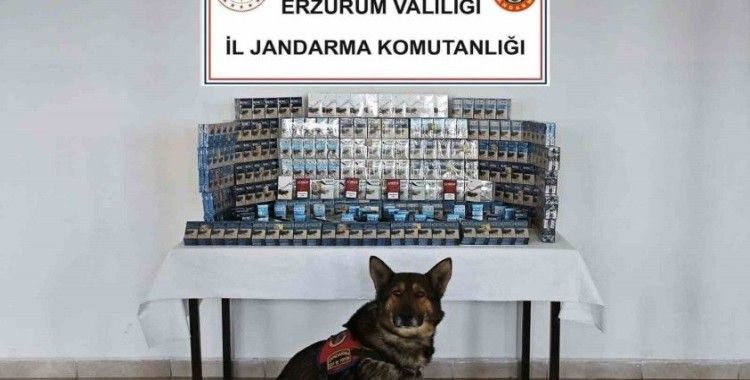 Jandarmadan kaçakçılara geçit yok
