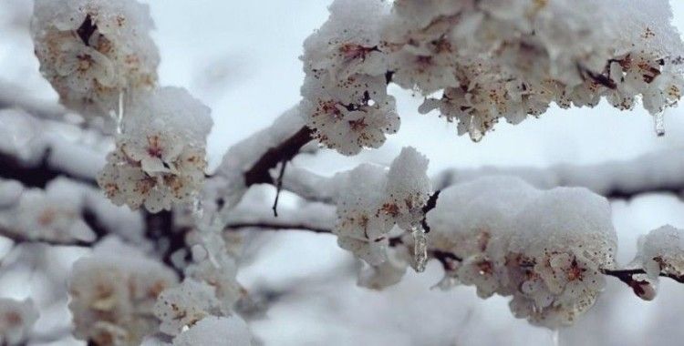 Başkan Er: "Gönlümüzü yakan bir manzarayla karşı karşıyayız"
