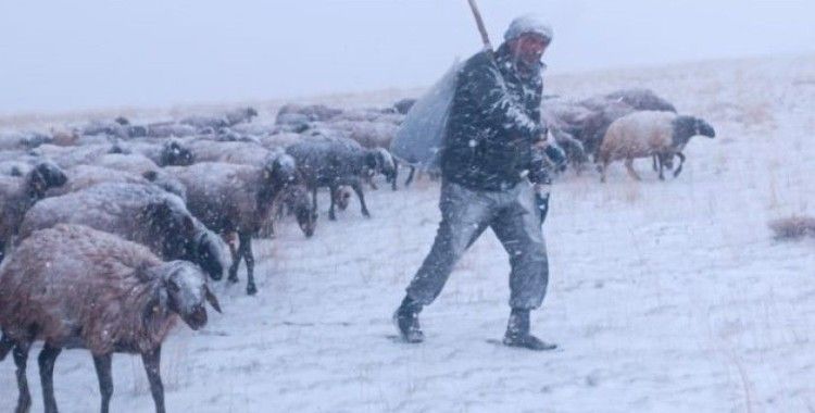 Ağrı’da kar yağışı hayatı felç etti

