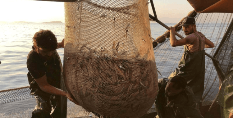 Denizlerde av yasağı başlıyor; uymayanlara 170 bin liraya kadar ceza...