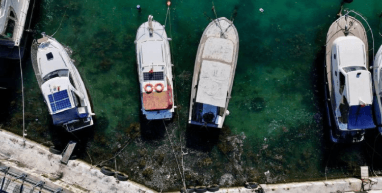 Beykoz sahilinde deniz yüzeyinde müsilaj görüldü