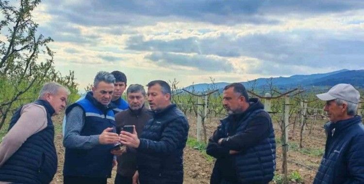 Tarım alanlarındaki zirai don hasarı inceleniyor

