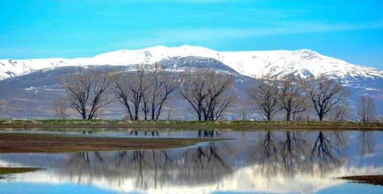 Çığ ve zirai don uyarısı
