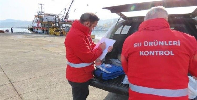 Trabzon’da belirlenen limitlerin altında avlanan balıkçılara 2 milyon 390 bin TL para cezası
