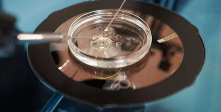 Ataşehir'de kadın yumurtalarının para karşılığı ABD'ye satıldığı iddia edildi