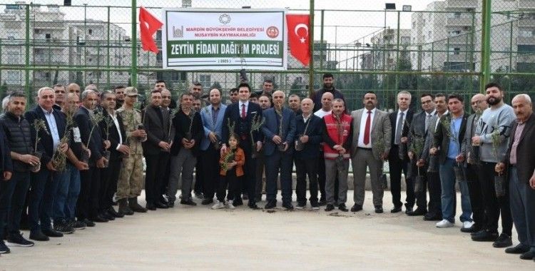 Nusaybinli çiftçilere 8 bin adet zeytin fidanı dağıtıldı
