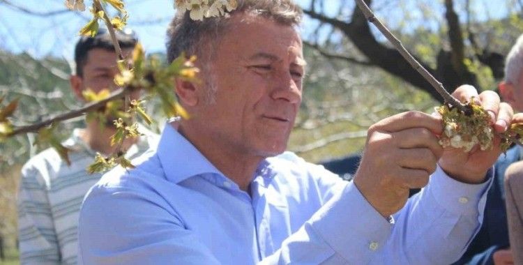 Uludağ’ın güneyi dondu
