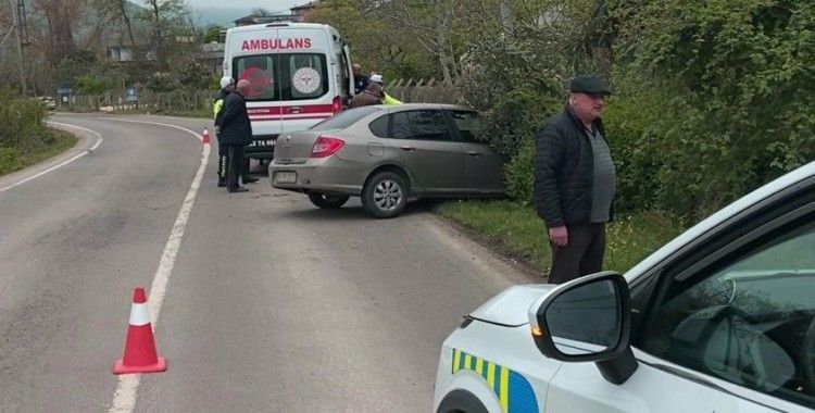 Sokak köpeklerine çarpmamak için kaza yaptı: 2 yaralı
