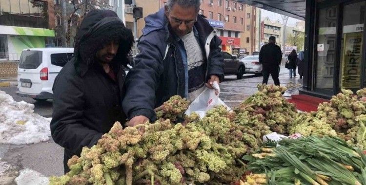 Erzincan’da ‘yayla muzunun’ destesi 100 ila 300 TL’den satışta
