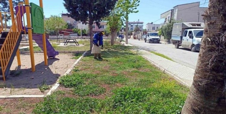 Akdeniz’in yeşil dokusu koruma altında

