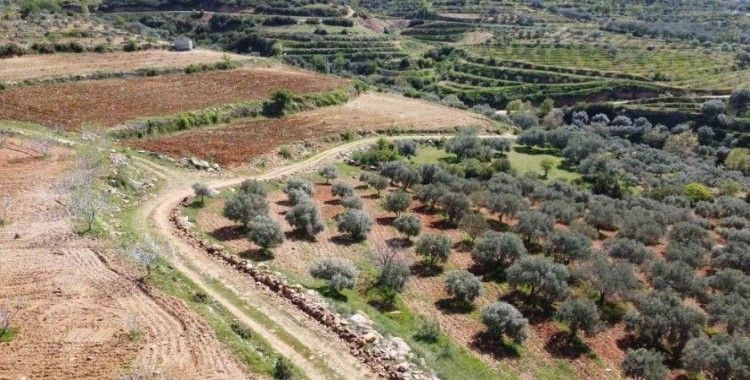 Bozdoğan’da arazi yolları bakıma alındı
