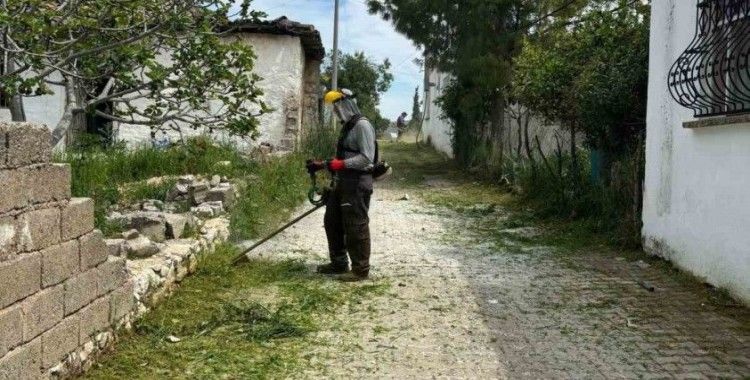 Belediye ekipleri Akköy’de otlara geçit vermiyor
