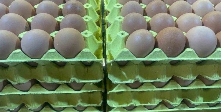 Yumurta fiyatları "mayıs çukuru" yaklaşınca düşüşe geçti
