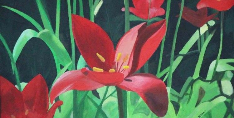 ’Amasya çiçekleri’ tablolarda açtı
