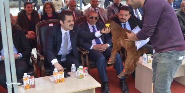 Iğdır’da güzellik yarışması düzenlendi
