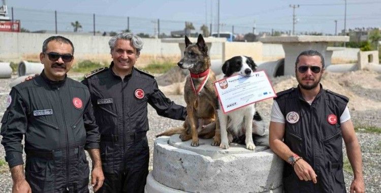 Mersin itfaiyesinin kahraman patileri Ares ve Rex’ten önemli başarı
