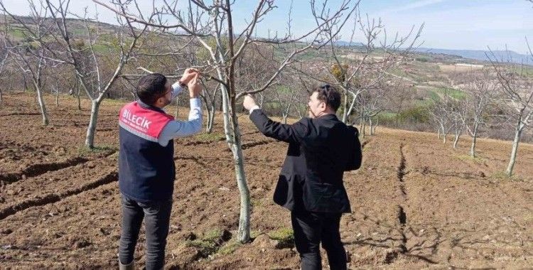 Bilecik’te don afeti sonrası hasar tespit çalışmaları devam ediyor
