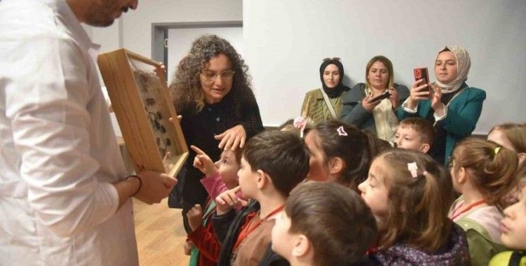 Minik öğrenciler böcekleri dikkatle inceledi
