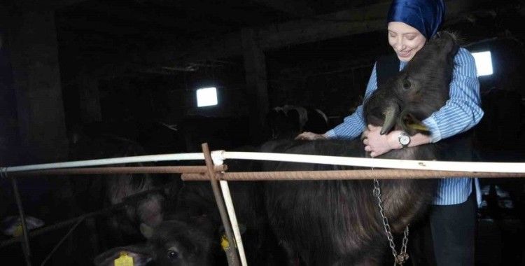 Bayburt’un tek kadın manda yetiştiricisi devlet desteğiyle kendi çiftliğini kurdu: Mandaları köyün simgesi oldu
