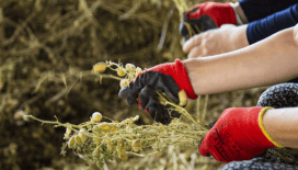Bakan duyurdu: 5.1 milyar liralık ödeme bugün hesaplara aktarılacak