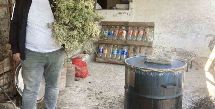 Aydın’da kekikler şifa için kaynatılmaya başlandı
