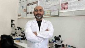 Asya kökenli kene için hastalık bulaştırma riski şimdilik yok, patojen taraması yapılacak
