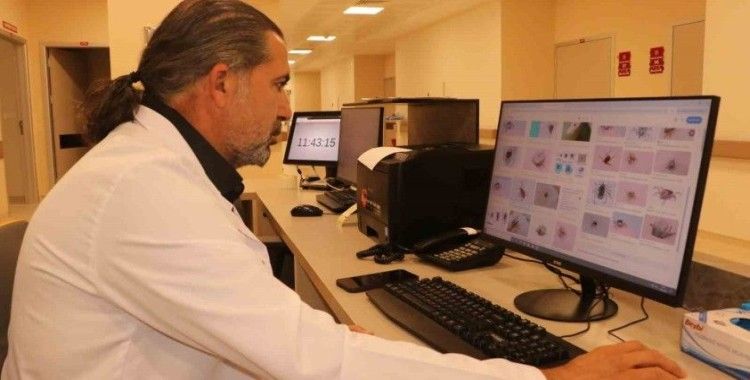 Uzmanından kene uyarısı; Kapalı giysileri tercih edin!
