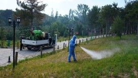 Niğde Belediyesi kene ve haşereyle mücadeleyi yoğunlaştırıyor
