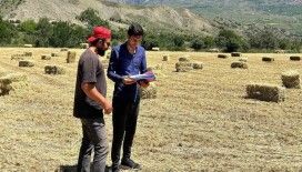 Erzincan genelinde yem bitkisi kontrolleri başladı
