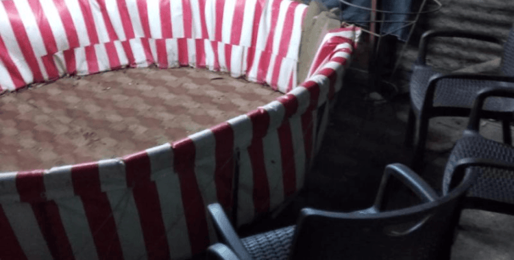 Trabzon'da horoz dövüştüren 4 kişiye 13 bin lira ceza