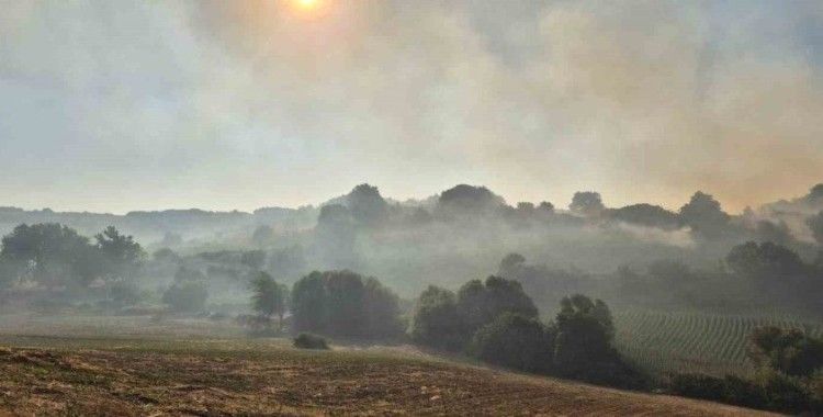 Susurluk Babaköy’de arazi yangını kontrol altına alındı
