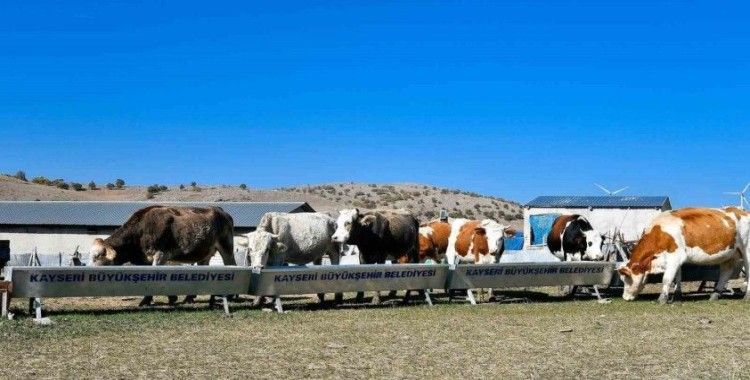 Büyükşehir’den hayvancılığa destek başvurularında dijital kolaylık: su desteği başvuruları artık online
